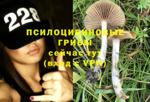 трава Аркадак