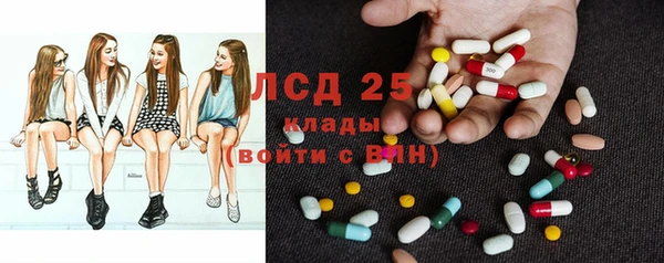 трава Аркадак
