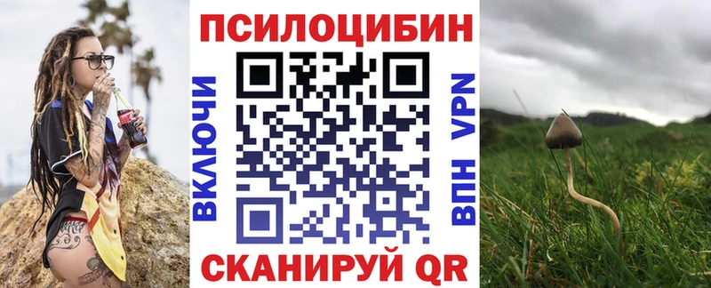 МЕГА рабочий сайт  Полярный  Псилоцибиновые грибы MAGIC MUSHROOMS 