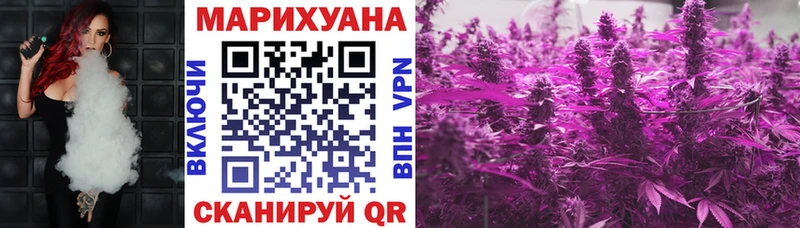 закладки MEGA как войти Бошки марихуана конопля Полярный